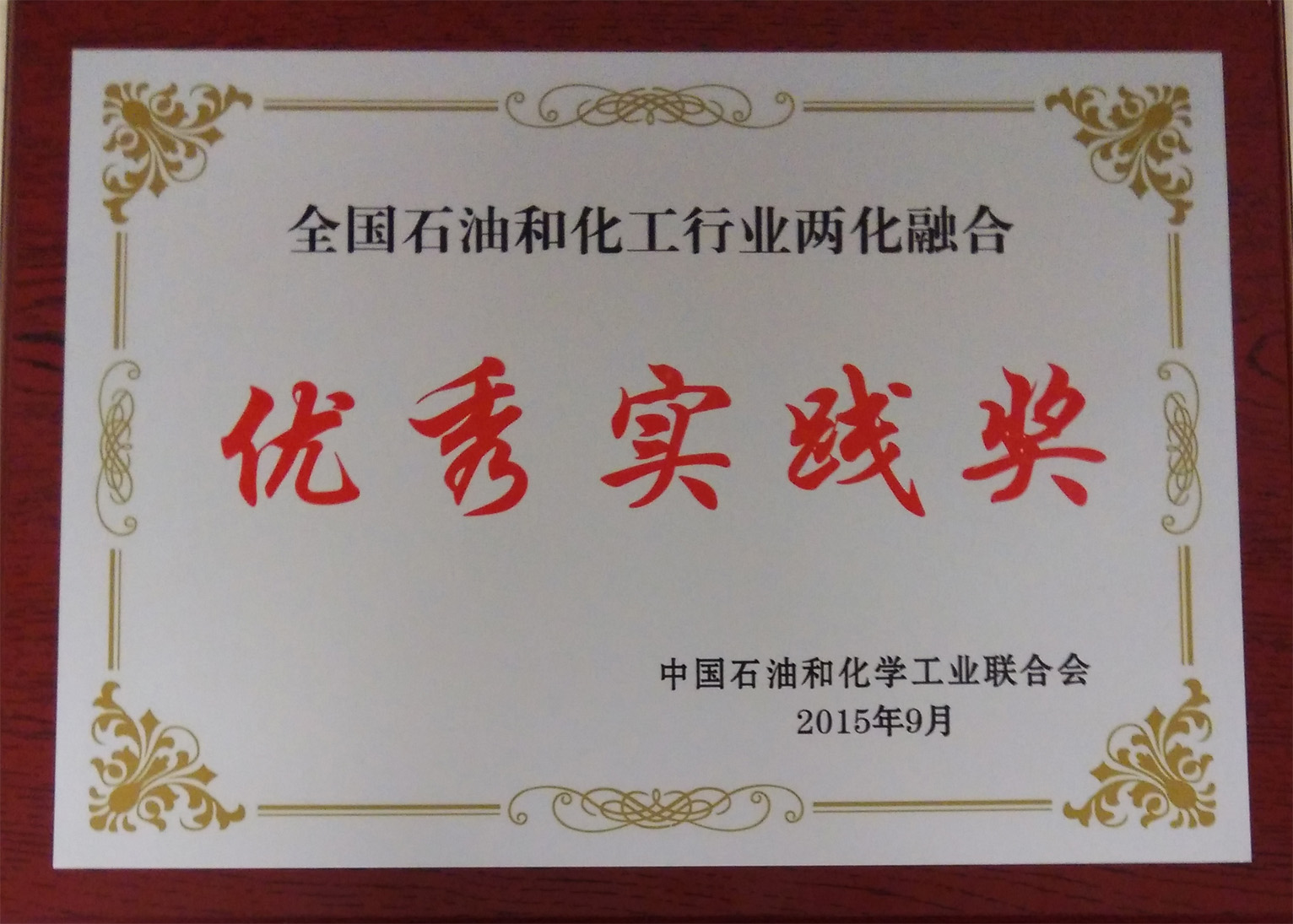 全国石油和化工行业两化融合优秀实践奖-丝瓜视频黄下载免费观看集团有限公司-中国石油和化学工业联合会-2015.9