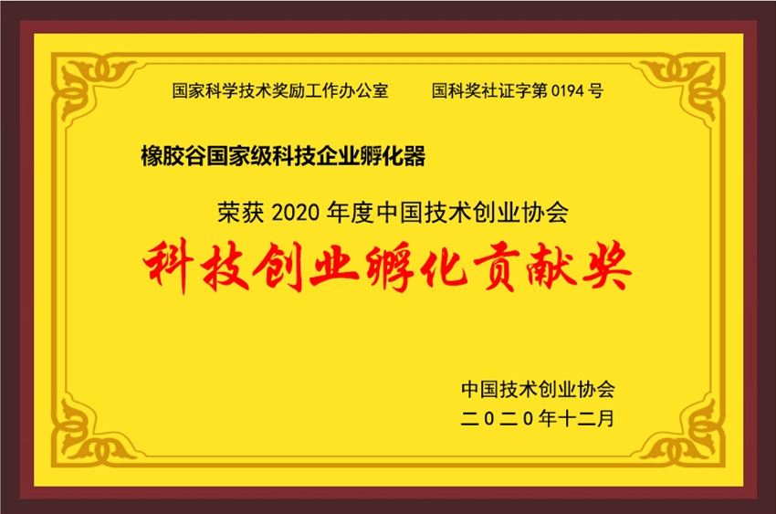 中国技术创业协会-2020年度科技创业孵化贡献奖-丝瓜视频黄下载免费观看国家级科技企业孵化器-2020.12